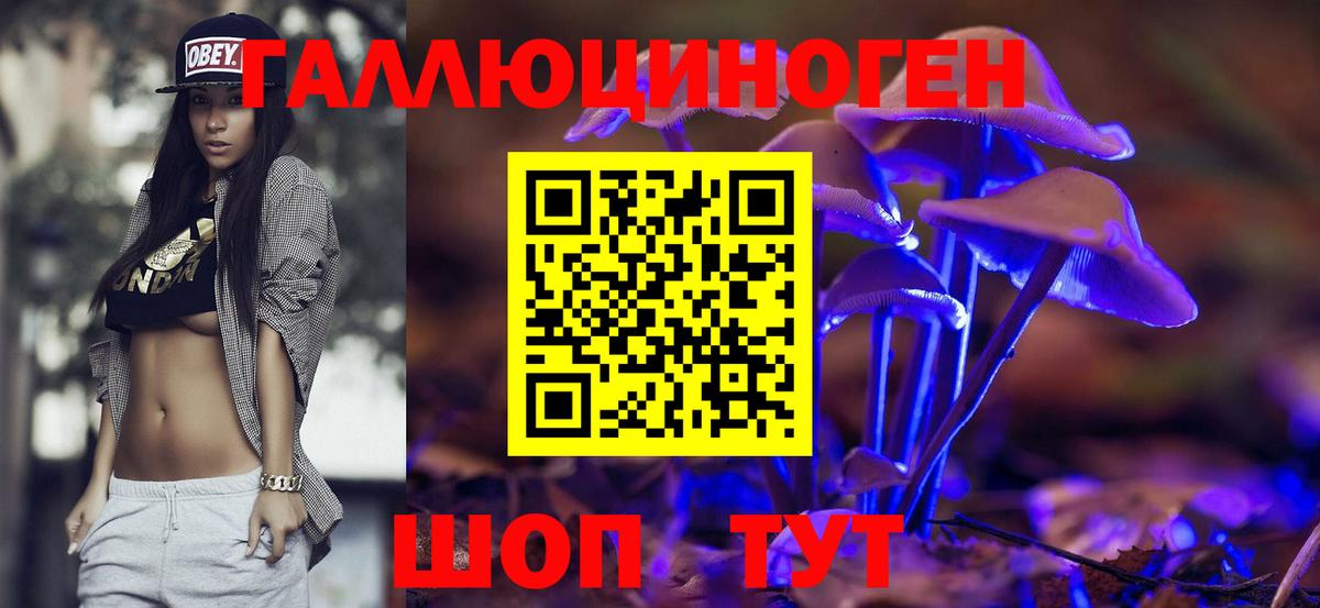 Псилоцибиновые грибы Psilocybine cubensis Биробиджан