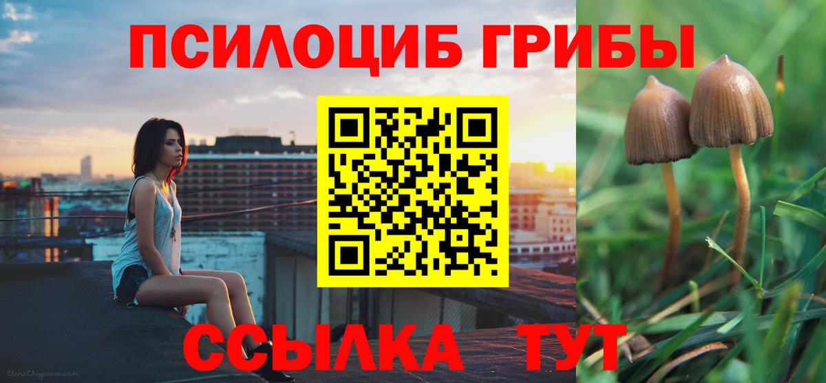 Псилоцибиновые грибы Magic Shrooms  Псилоцибиновые грибы MAGIC MUSHROOMS  Вход с VPN  Биробиджан 